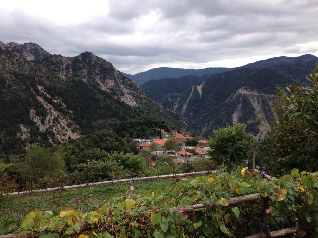 Dryades Guesthouse Ано Хора Екстериор снимка